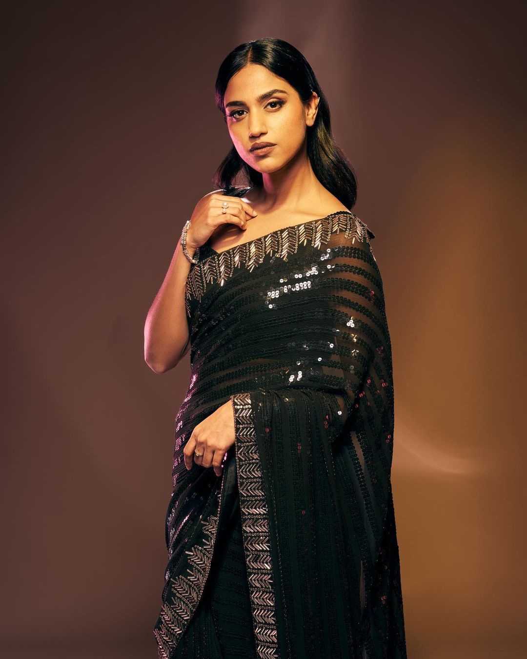 Traditional Georgette Saree with Sequin Embroidery
