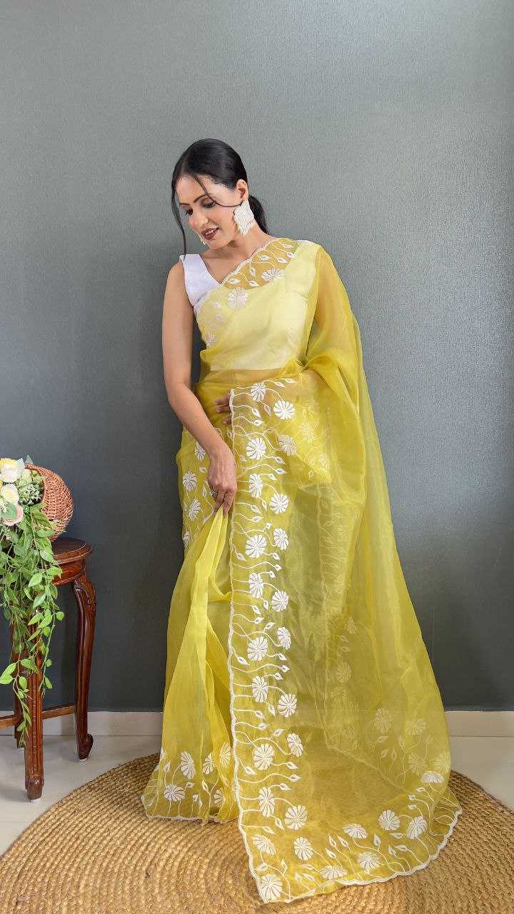 Organza Saree with Embroidered Cutwork