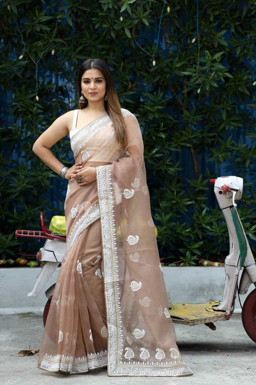 Stylish Organza Saree