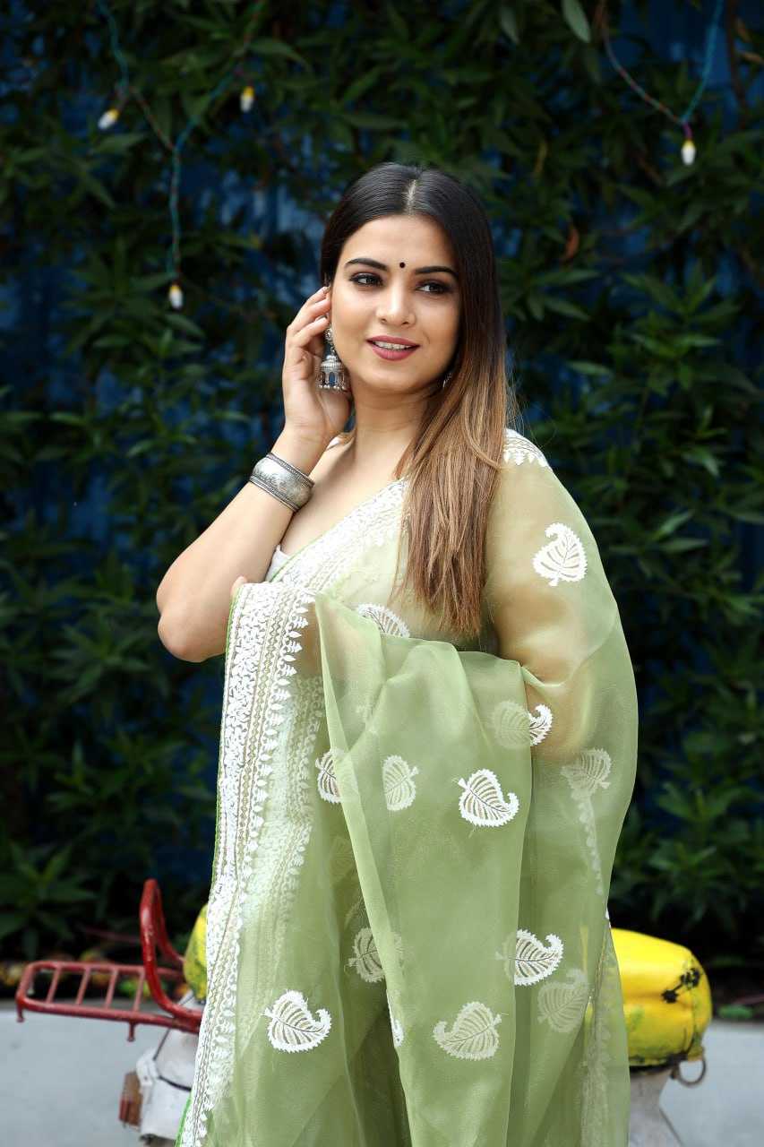 Stylish Organza Saree