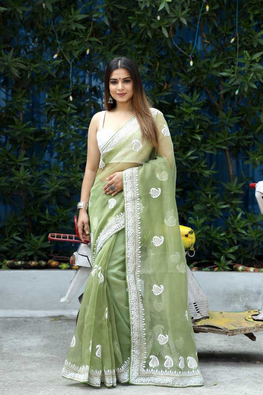 Stylish Organza Saree