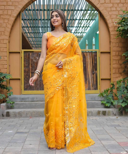 Traditional Organza Saree