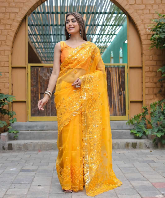 Traditional Organza Saree