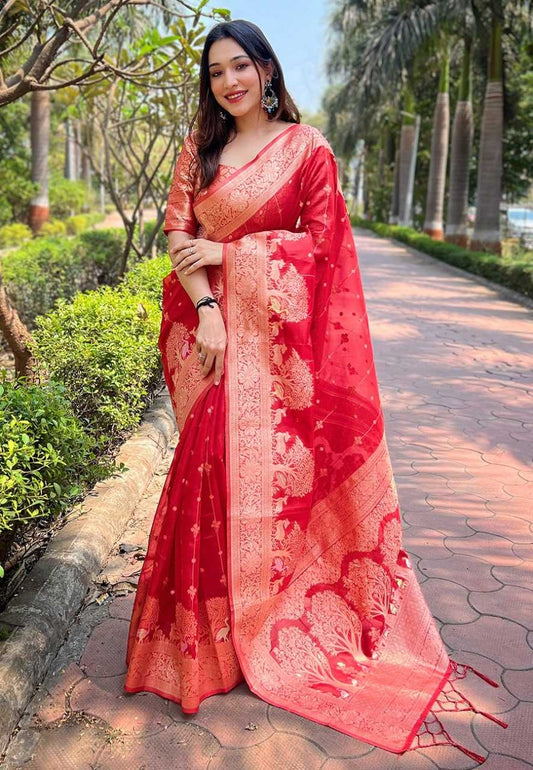 Traditional Organza Saree with Small Floral Weaves