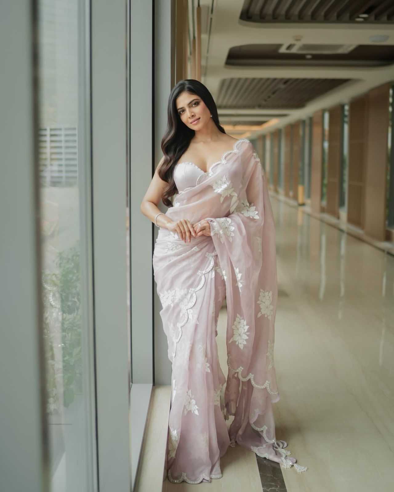Elegant Organza Saree